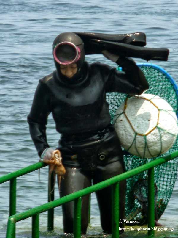 Jeju Woman Diver Show (Haenyeo) Trazy, Korea's 1 Travel Shop