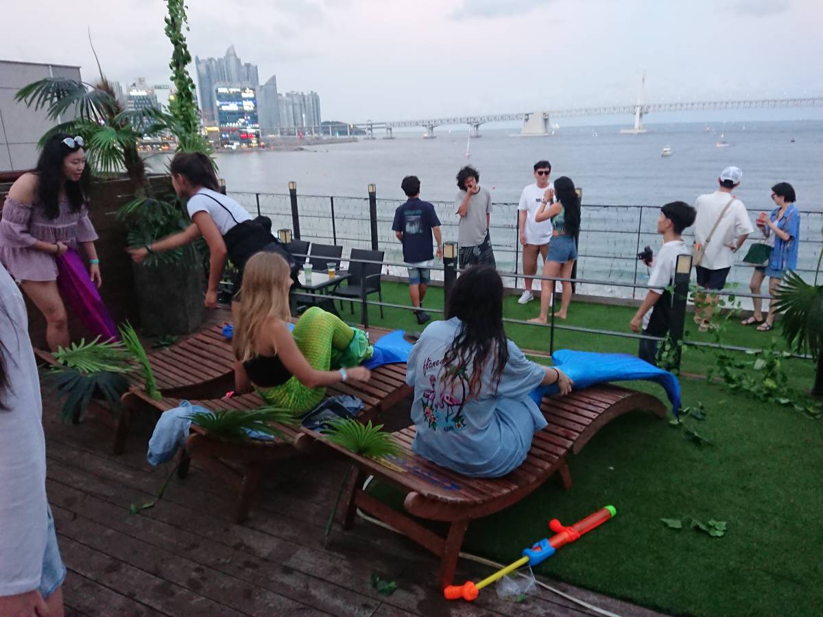 Beach Bikini / 비치 비키니, Korea Nightlife & Bar